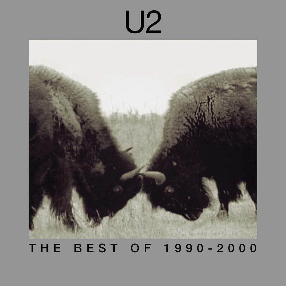 U2 - The Best Of 1990-2000 - (180 Gram Vinyl) - [Vinyl]