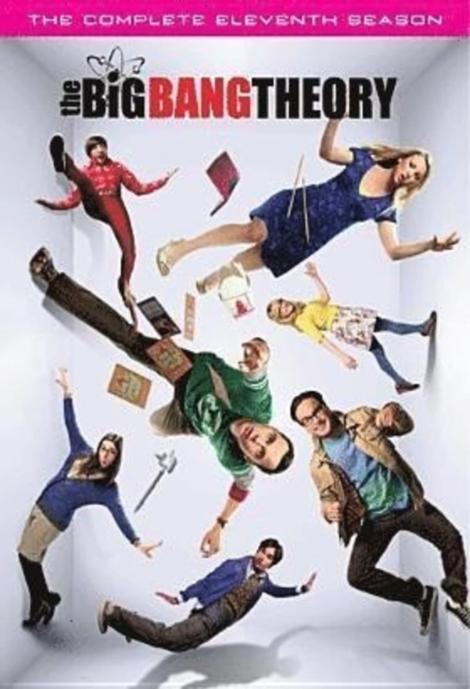 Big Bang Theory, The: Season 11 - [DVD]