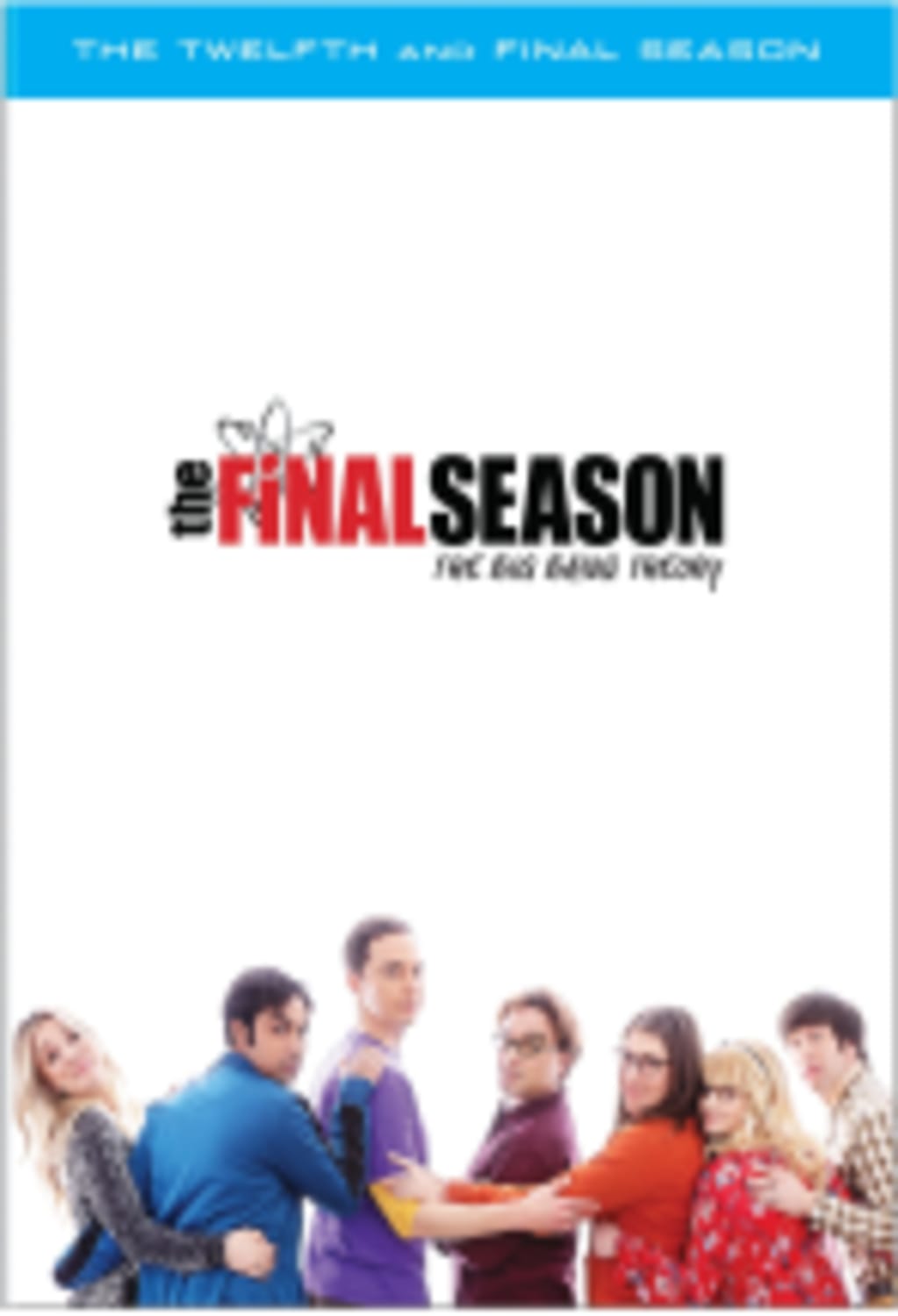 BIG BANG THEORY THE: SEASON 12 - [DVD]
