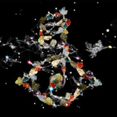 Bjork - Biophilia - [Vinyl]
