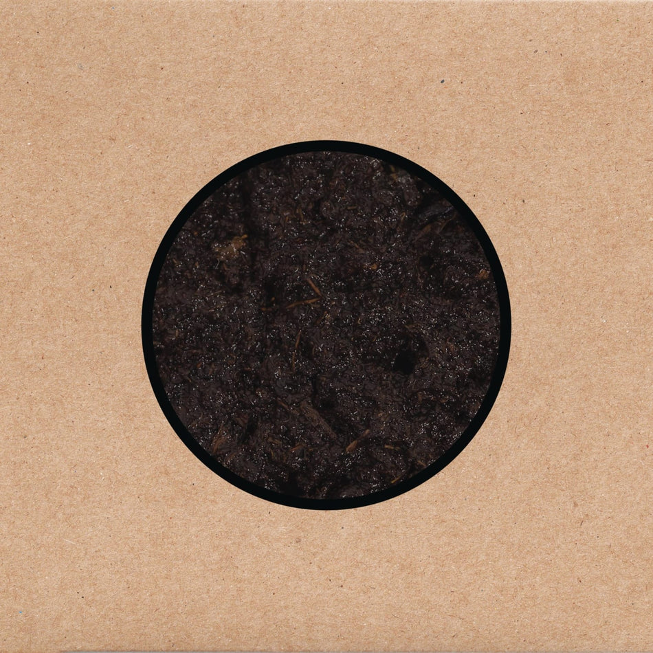 Swans - Birthing - [Vinyl]