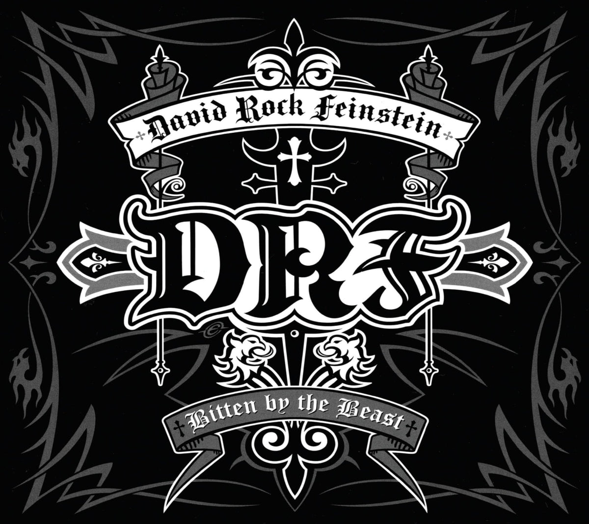David Rock Feinstein - Bitten By The Beast - [CD]