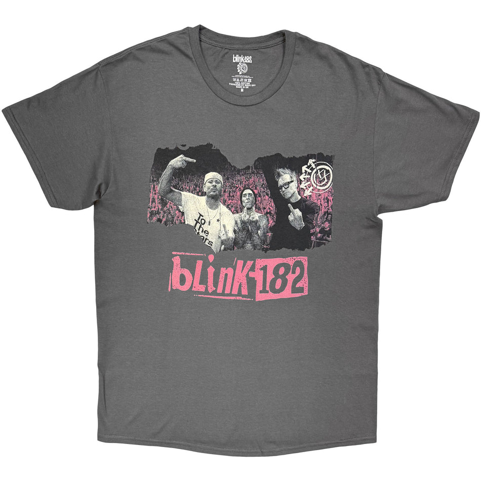 Blink-182 Unisex T-Shirt: Logo Band (Charcoal Grey)
