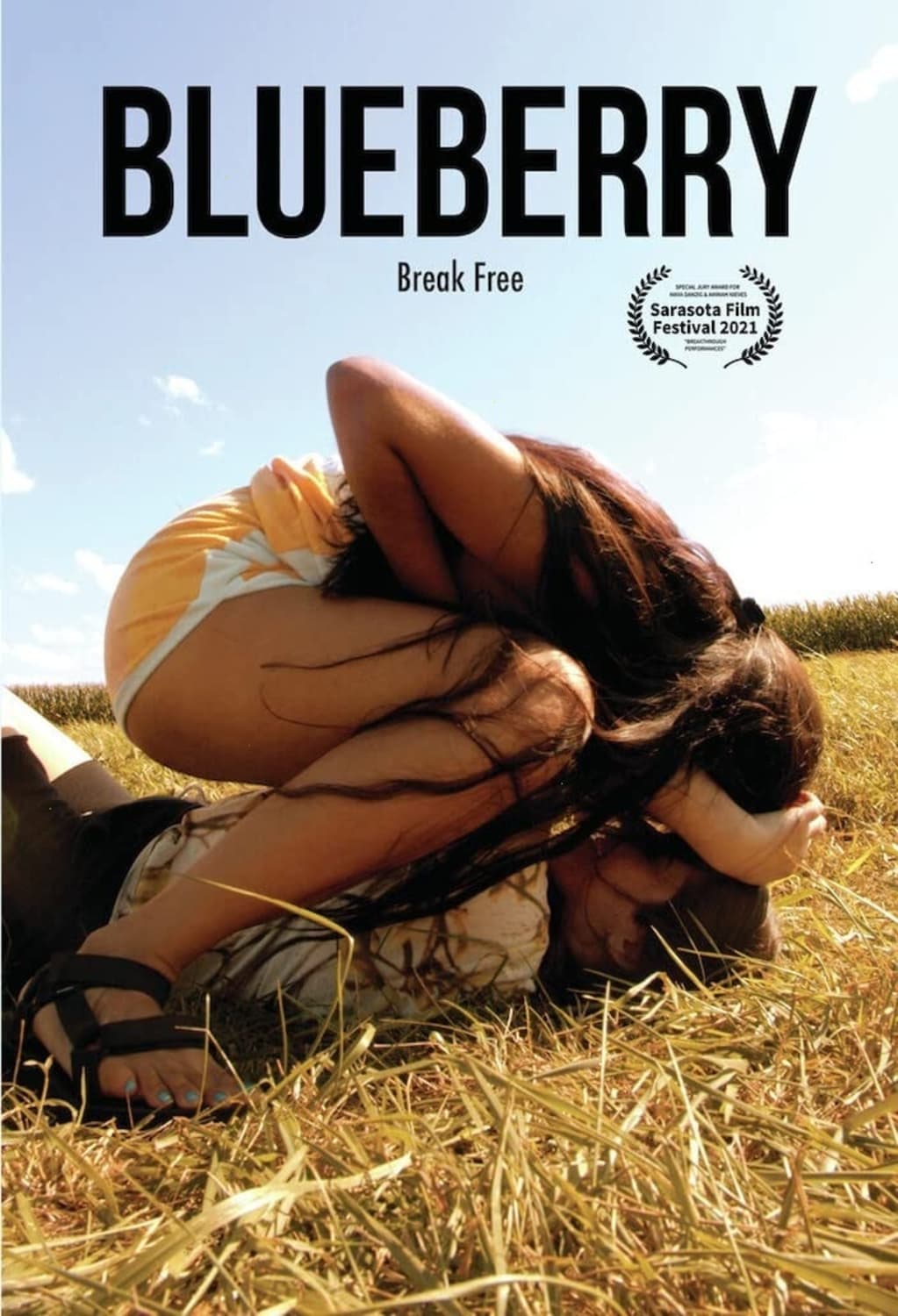 Blueberry - [DVD]