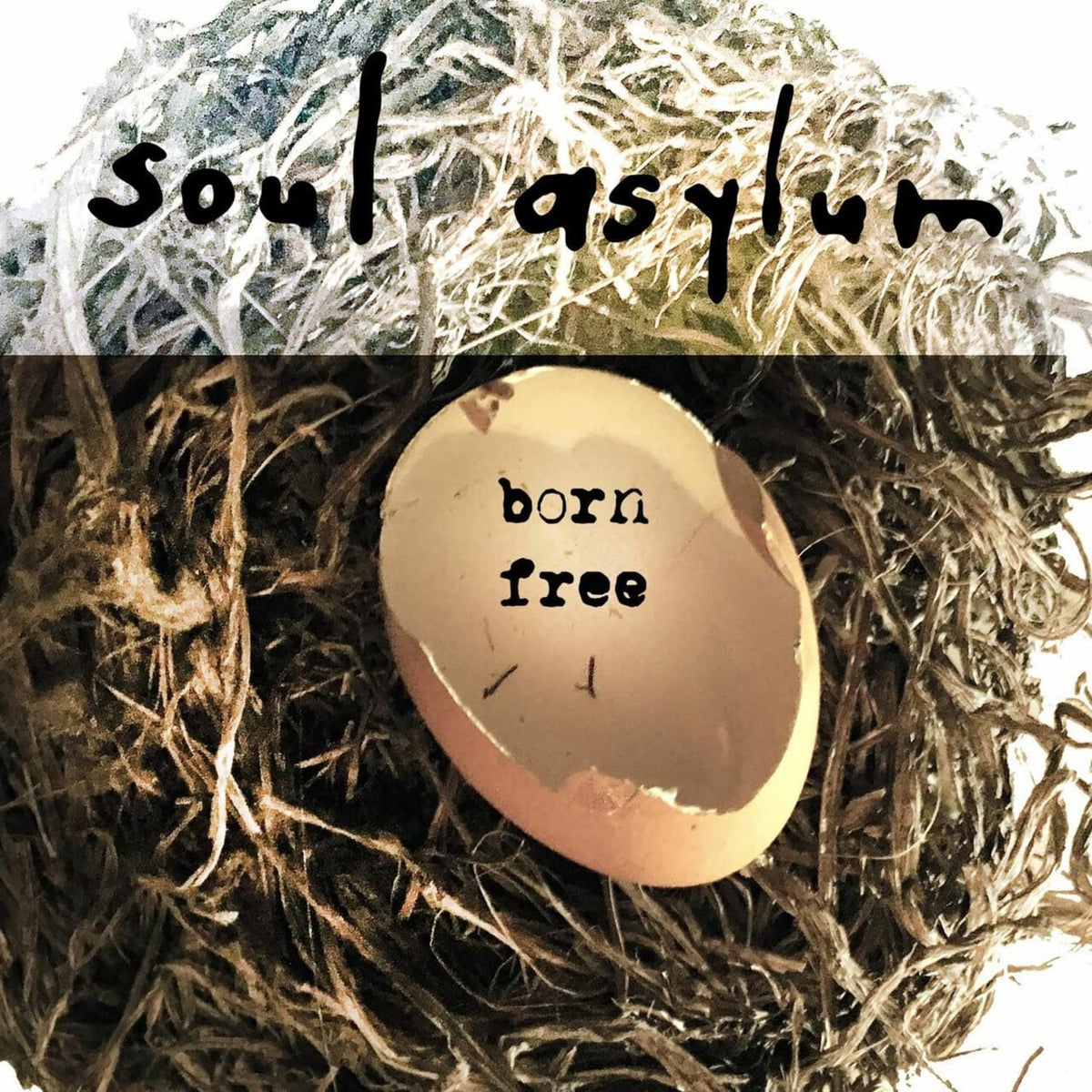 Soul Asylum - Born Free - (10-Inch Vinyl) - [Vinyl]