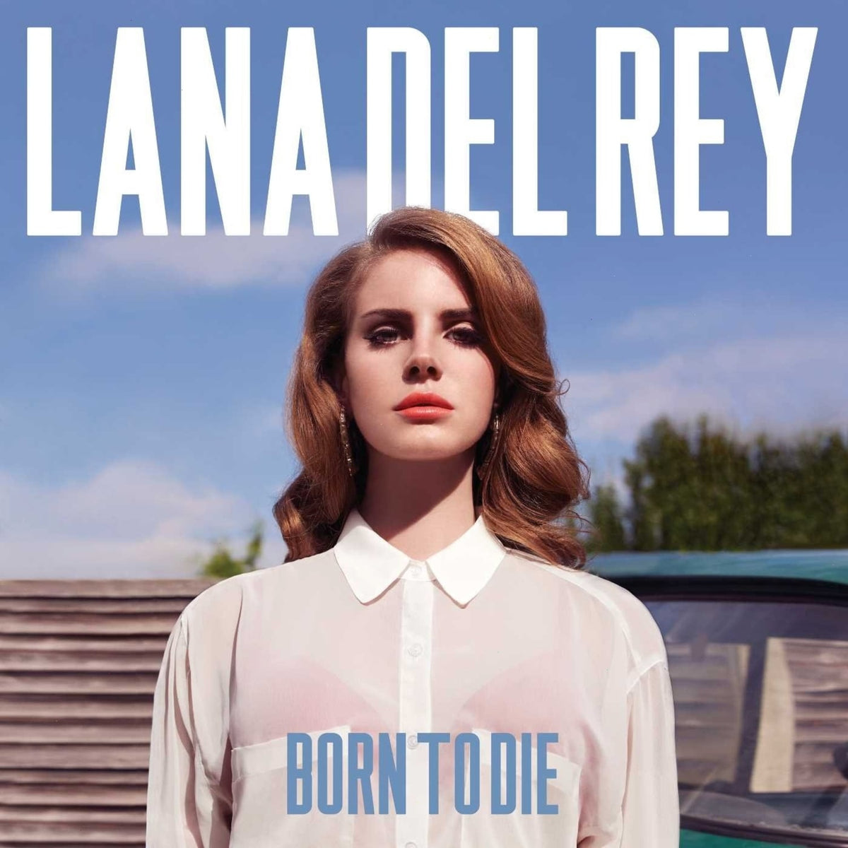 Lana Del Rey - Born to Die - [Vinyl]