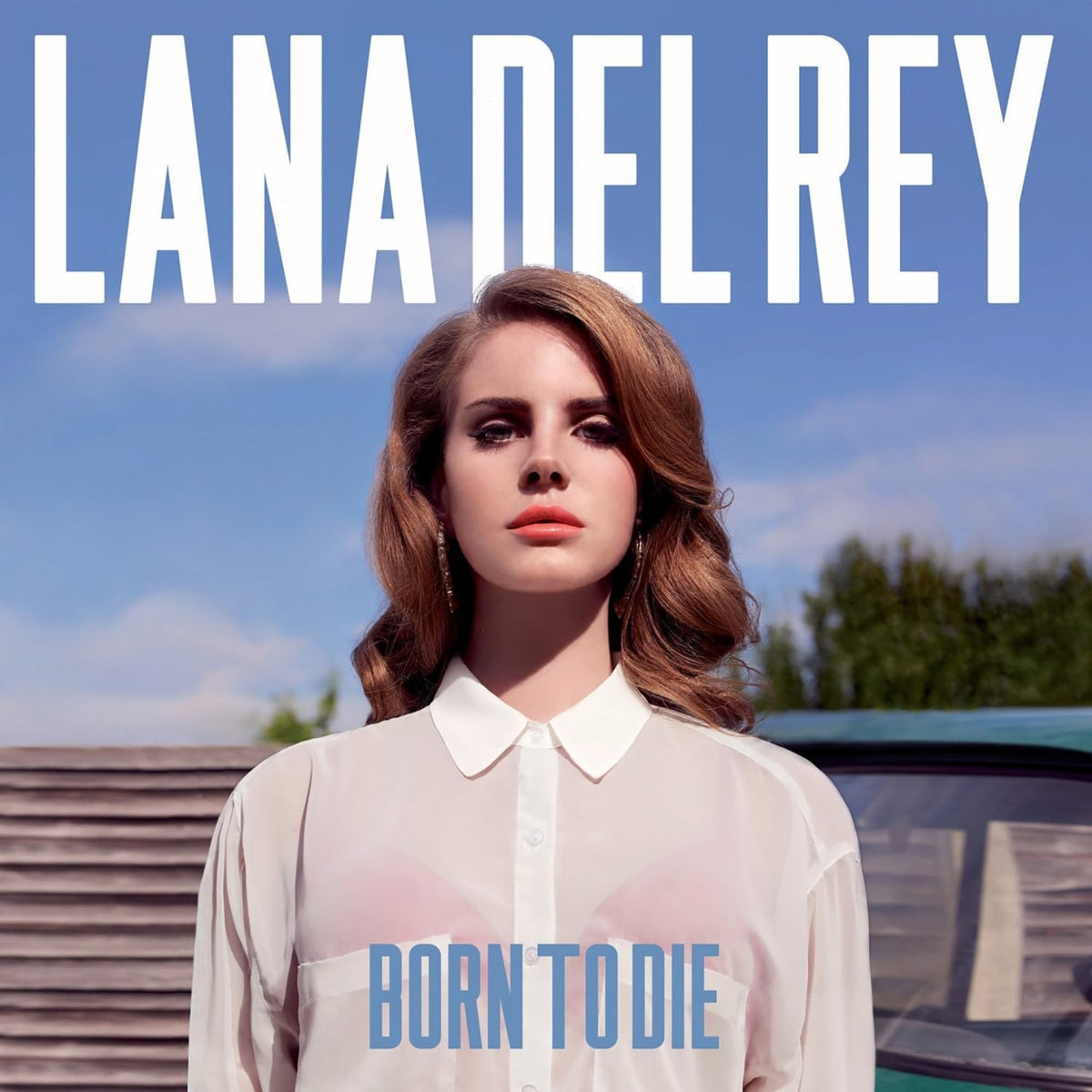 Lana Del Rey - Born to Die - [Vinyl]