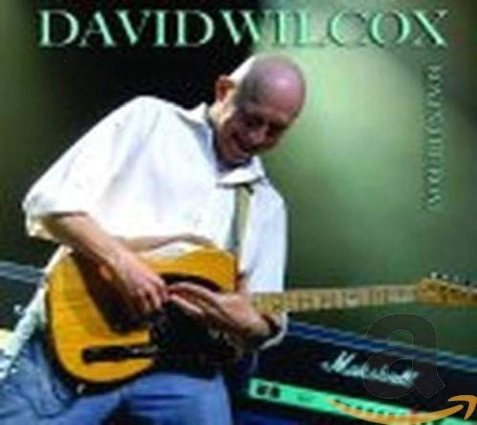 David Wilcox - BOY IN THE BOAT - [CD]