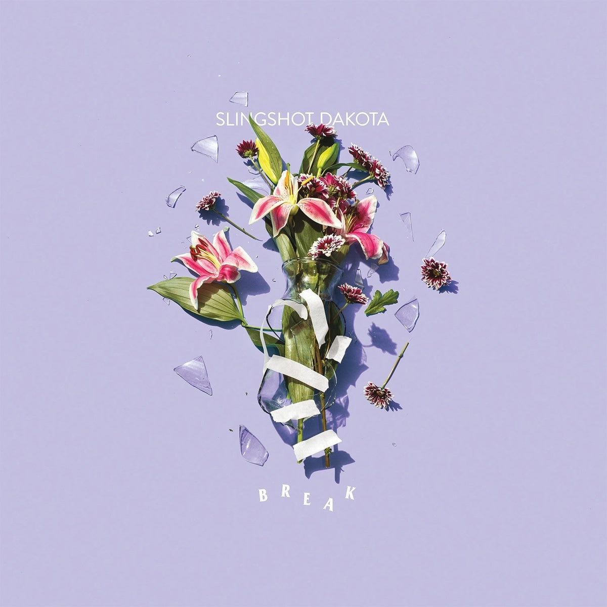 Slingshot Dakota - Break - [Vinyl]