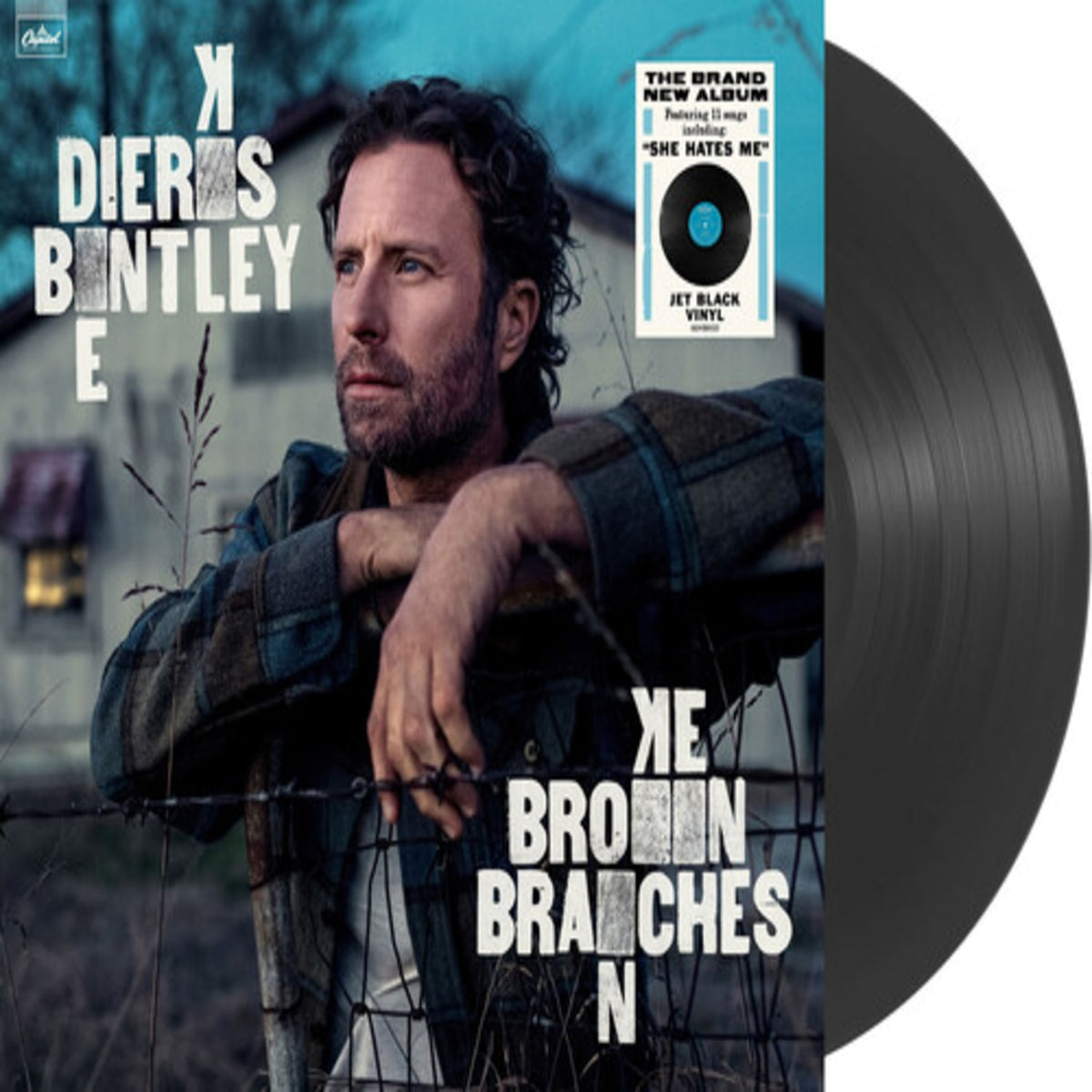 Dierks Bentley - Broken Branches - [Vinyl]