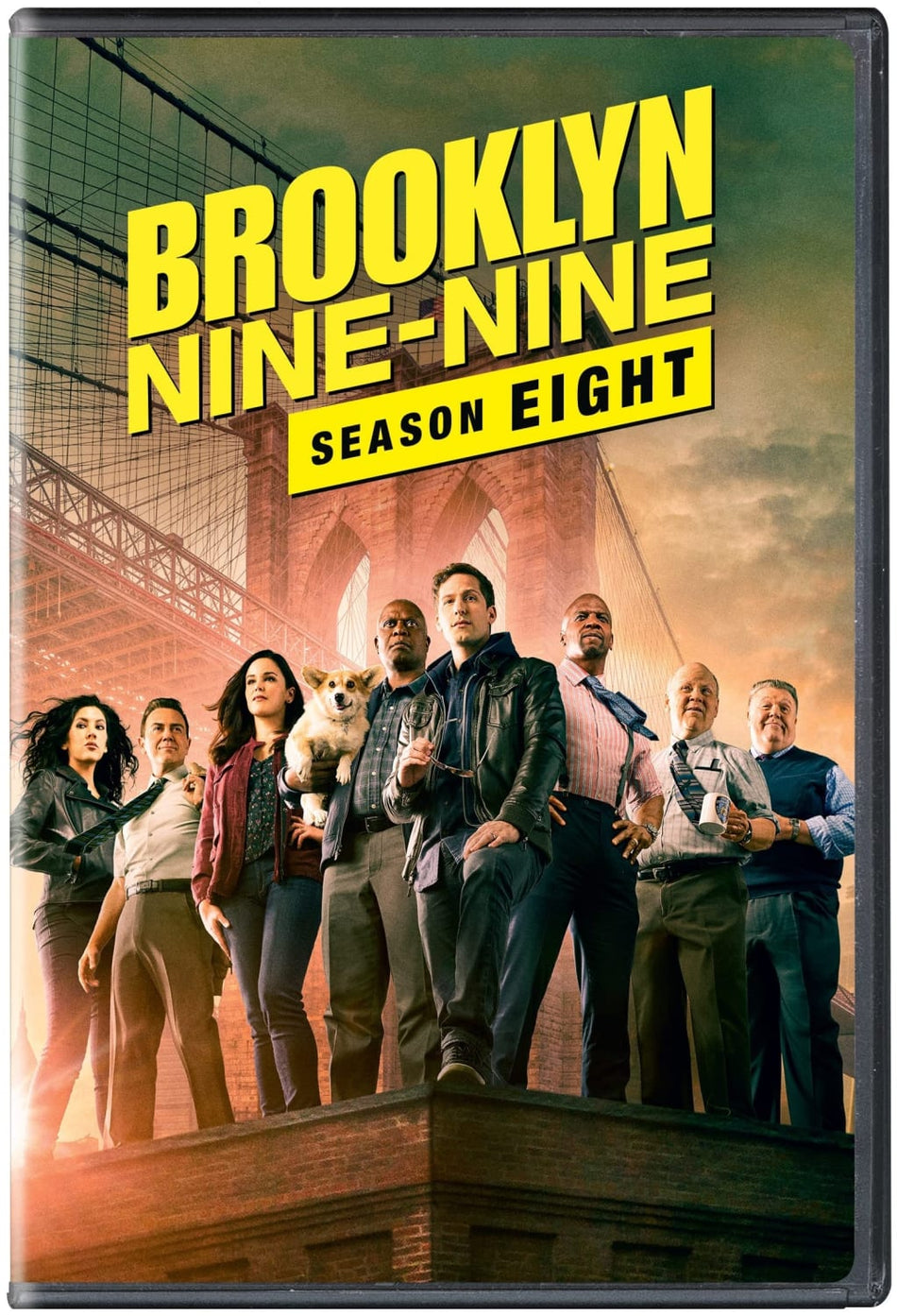 Brooklyn Nine-Nine: Season Eight - (Dolby, AC-3) - [DVD]