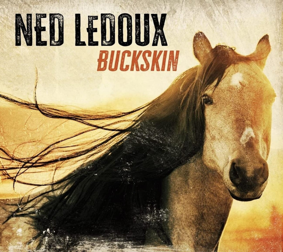 Ned Ledoux - Buckskin - [CD]