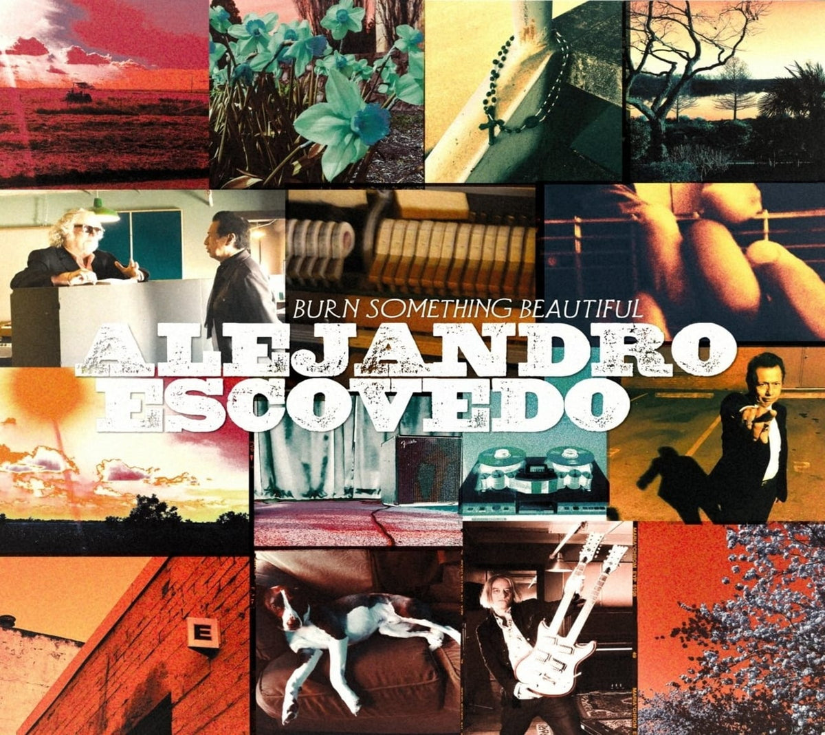 Alejandro Escovedo - Burn Something Beautiful - [CD]