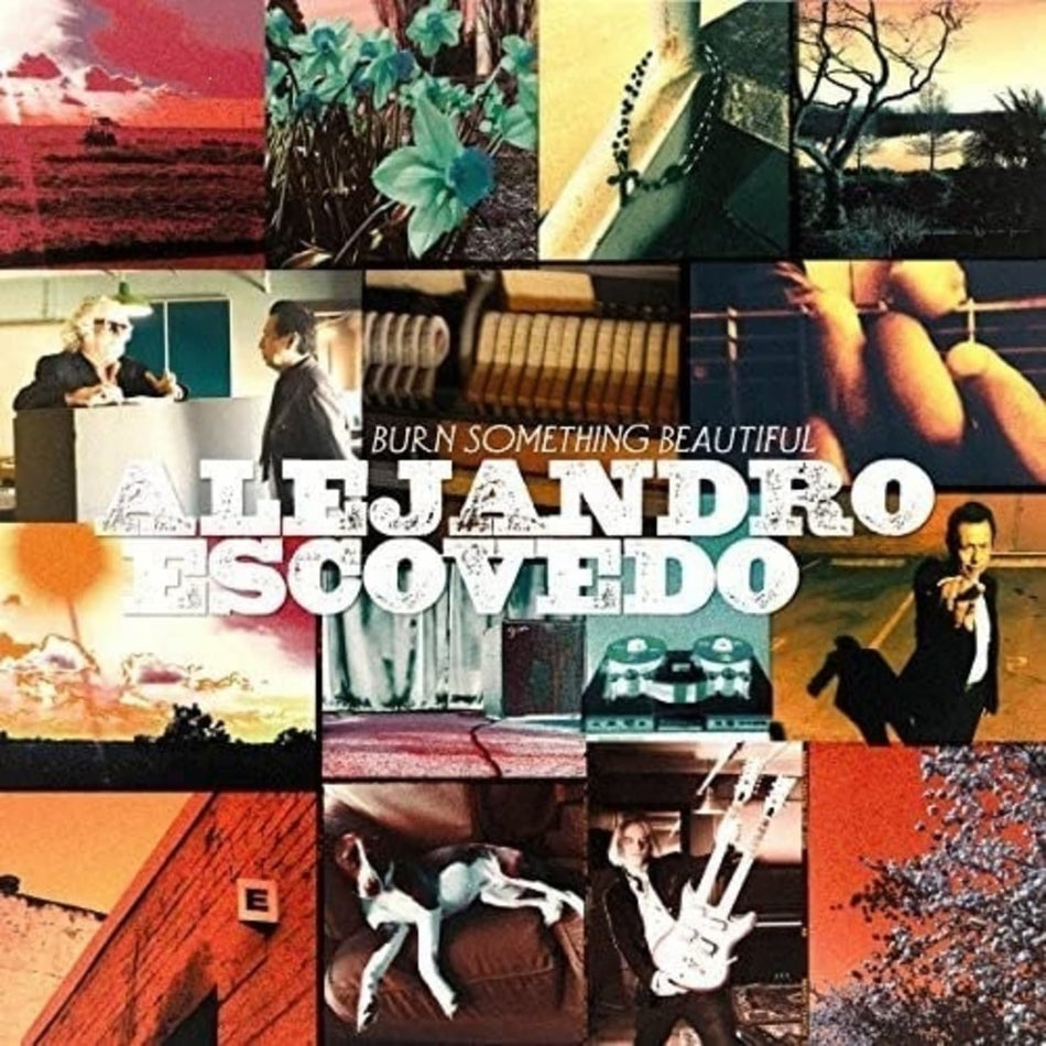 Alejandro Escovedo - Burn Something Beautiful - (Gatefold Jacket) - [Vinyl]