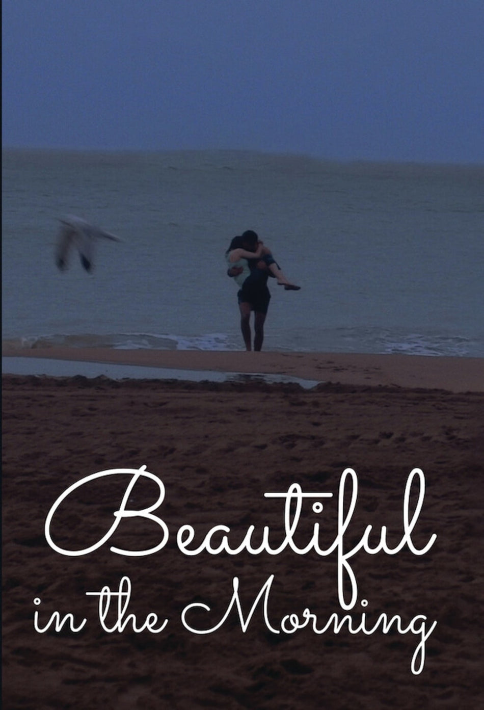 Beautiful in the Morning - [DVD]