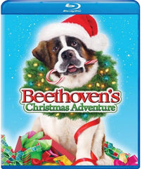 Beethoven's Christmas Adventure - (Dolby, AC-3) - [Blu-ray]