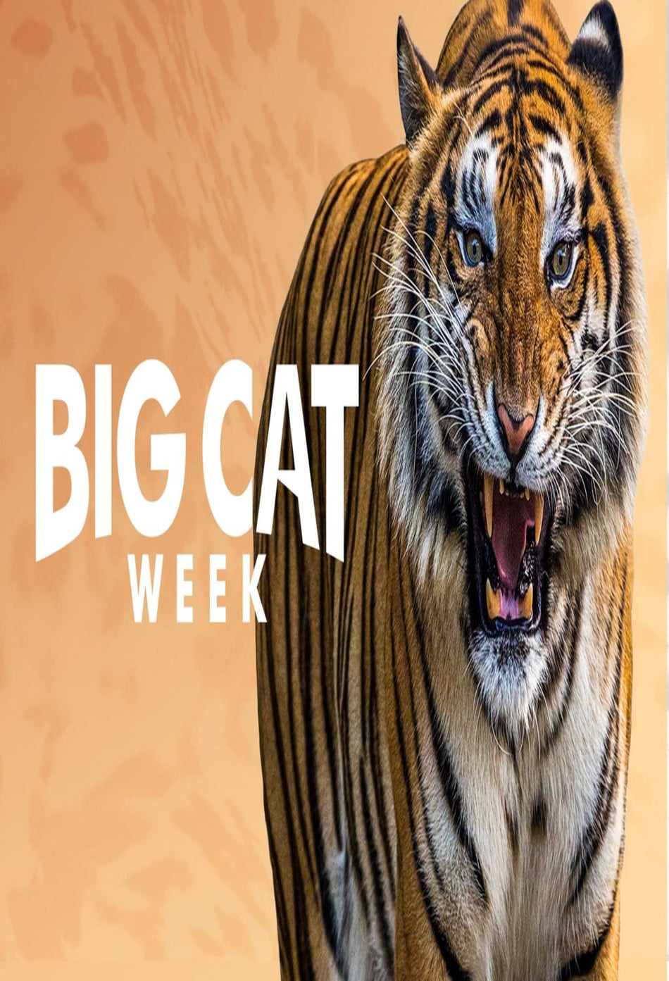 Big Cat Week 2015 - (NTSC Format) - [DVD]