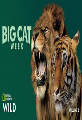 Big Cat Week 2017 - (Dolby, AC-3, Widescreen, NTSC Format) - [DVD]