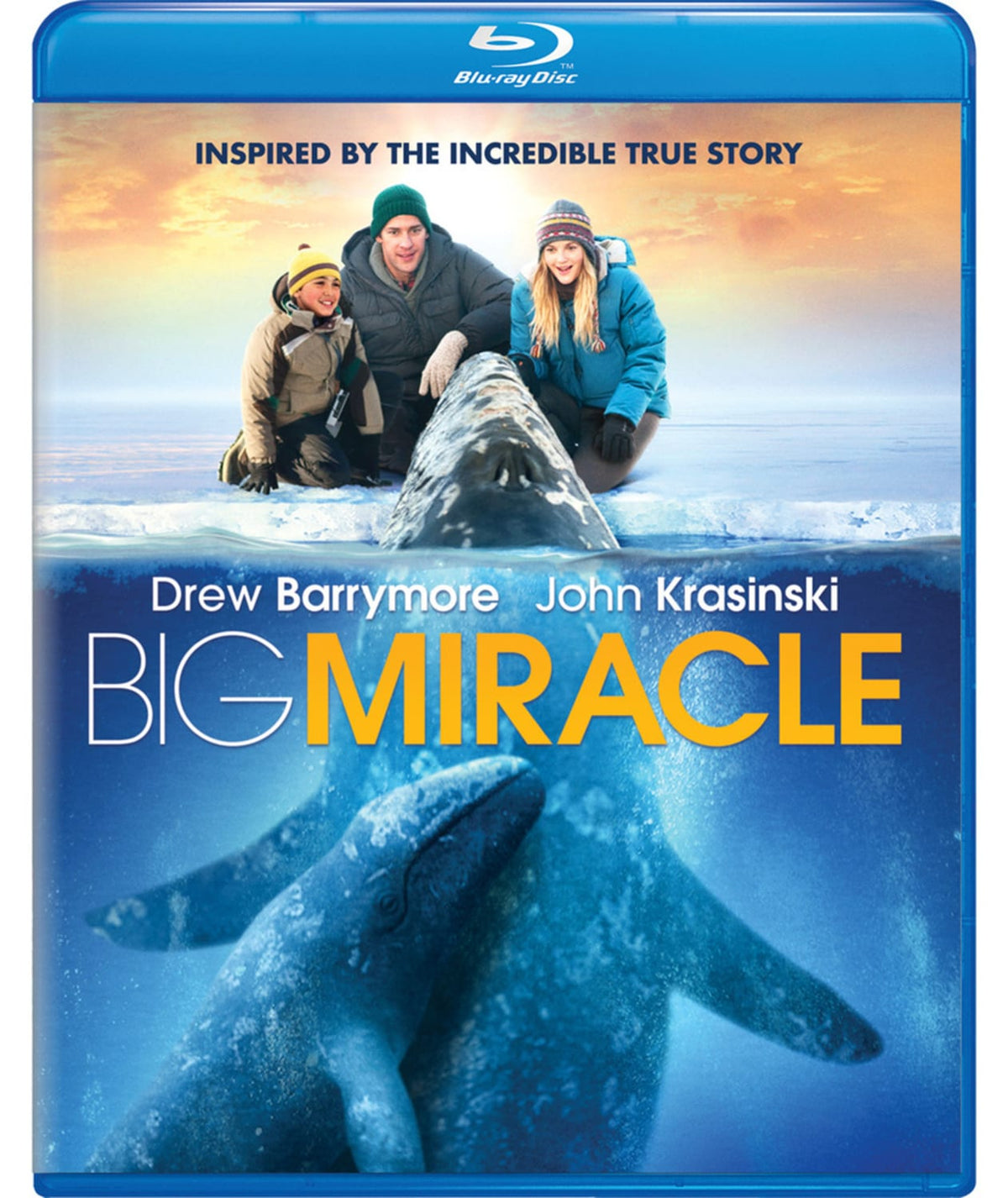 Big Miracle - [Blu-ray]