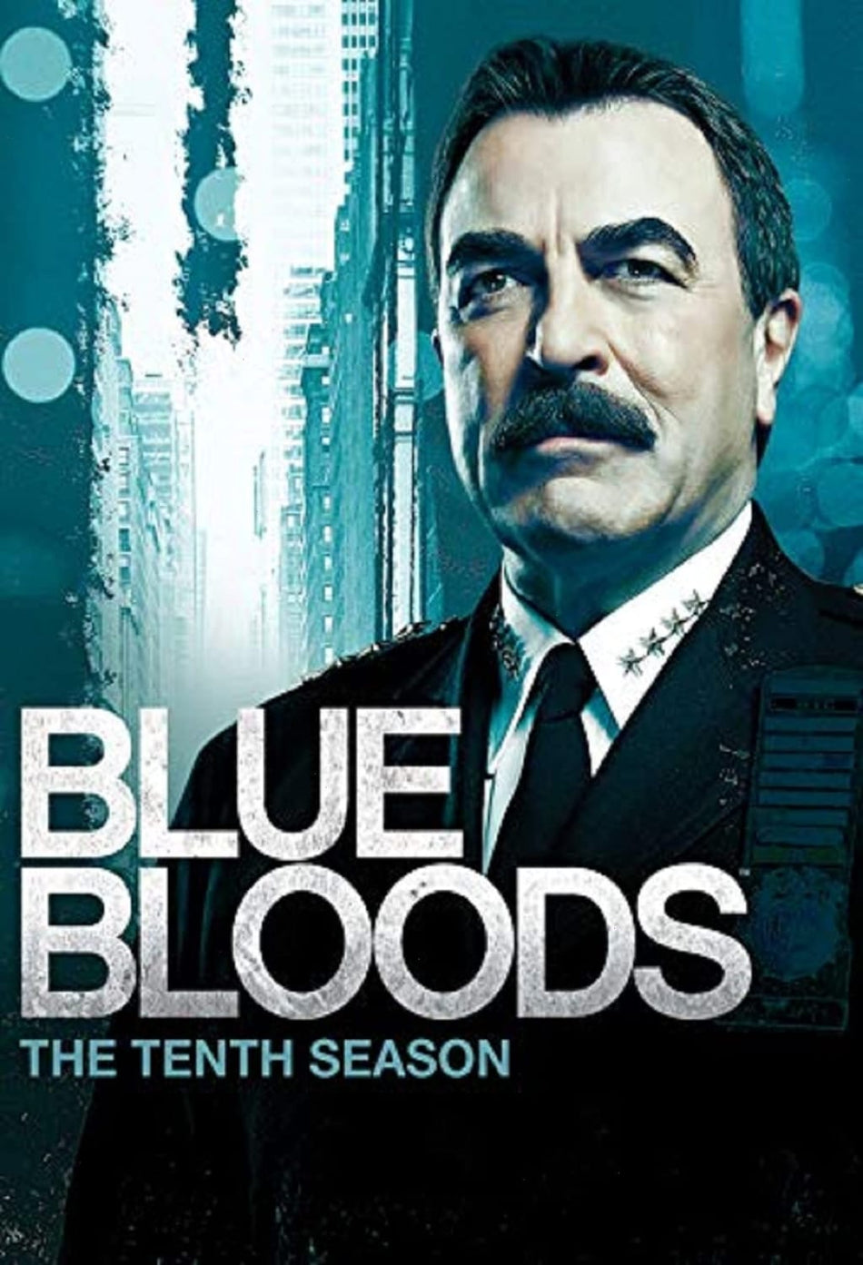 Blue Bloods: The Tenth Season - Box Set - [DVD]