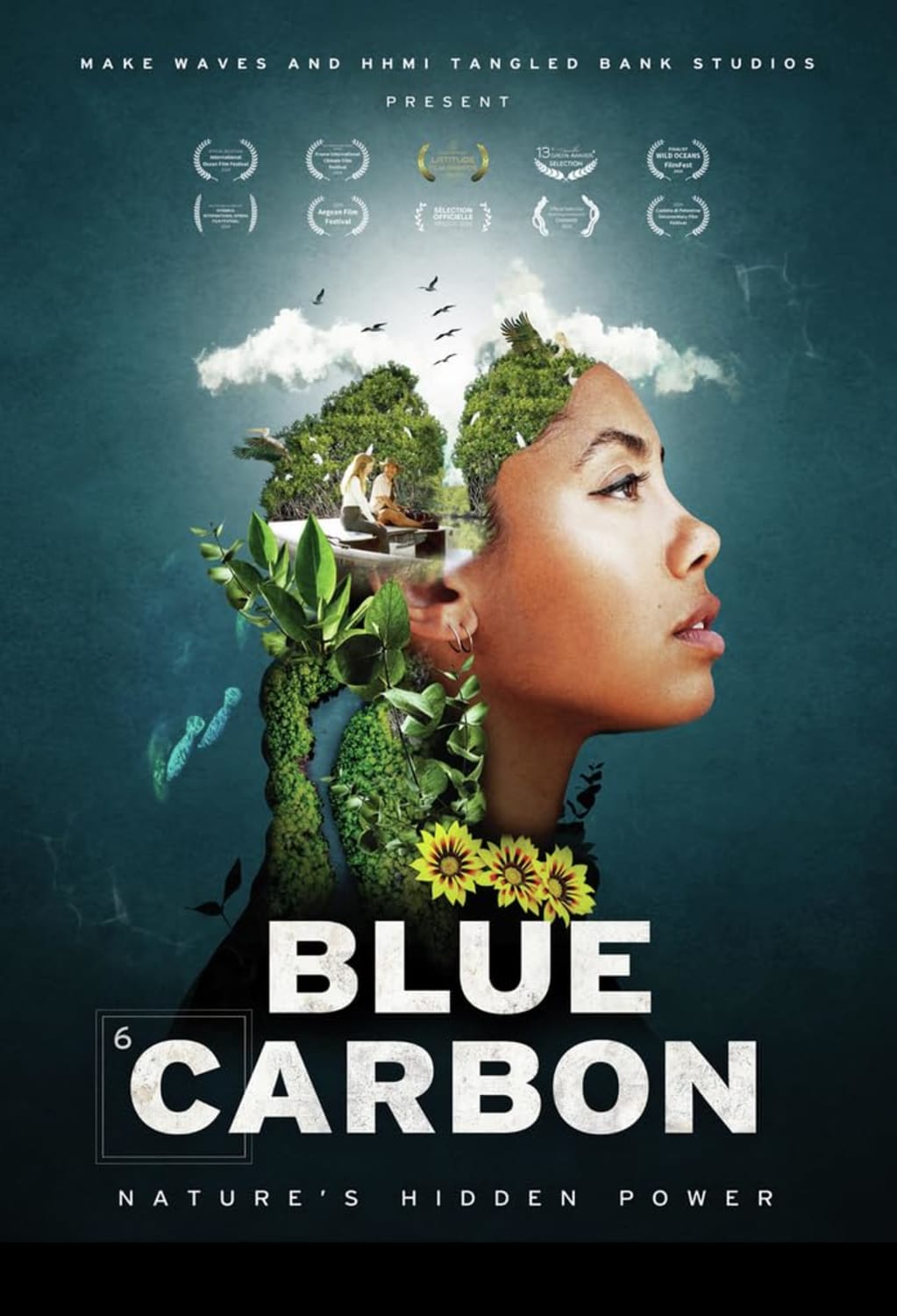 Blue Carbon: Nature's Hidden Power - (Dolby, AC-3) - [DVD]