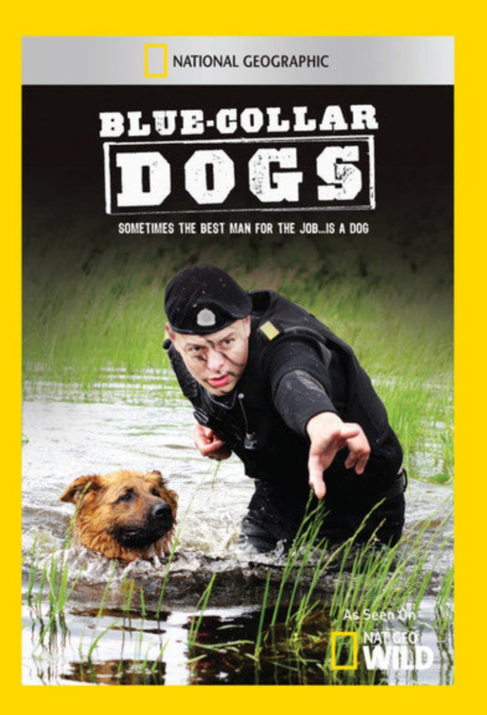 Blue Collar Dogs - [DVD]