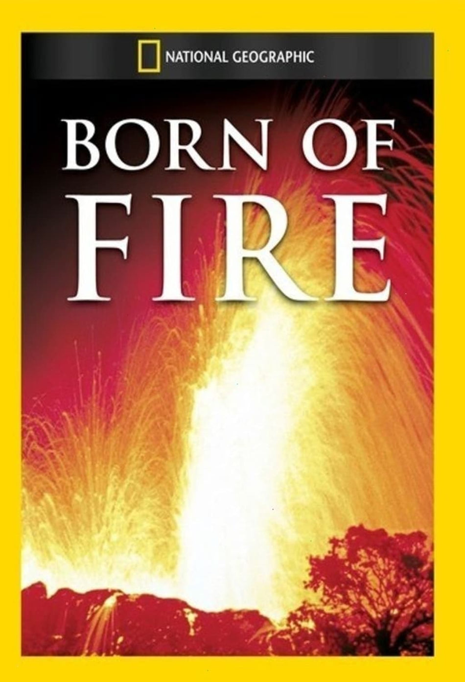 Born of Fire - (NTSC Format) - [DVD]