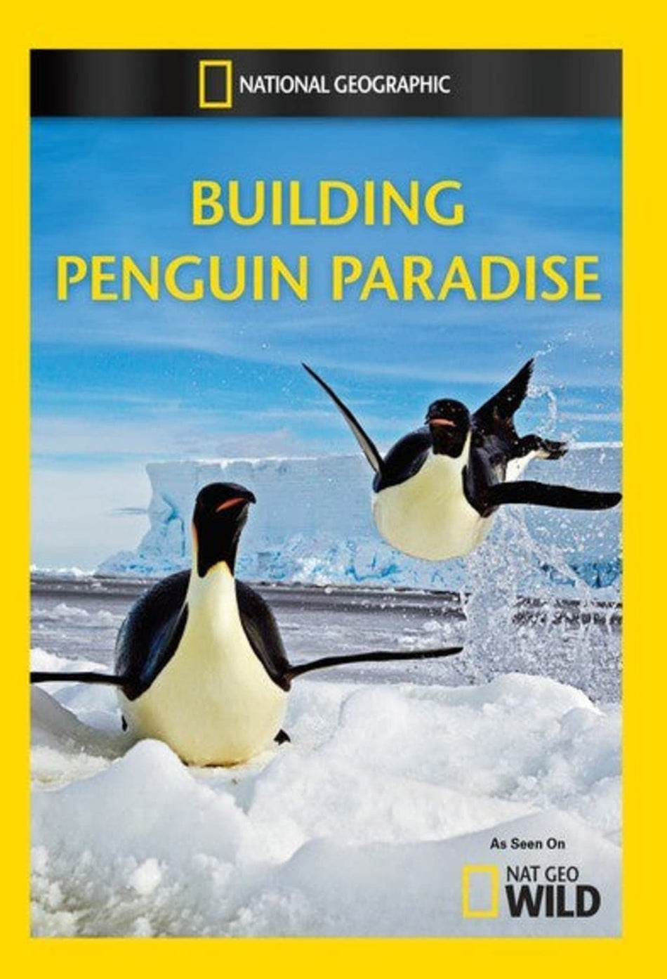 Building Penguin Paradise - (NTSC Format) - [DVD]