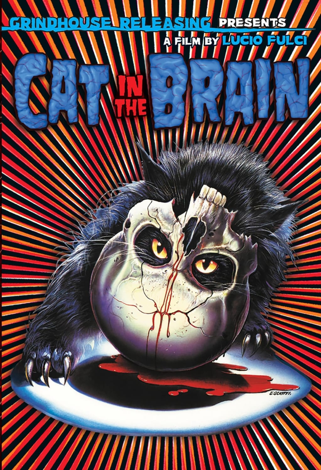 A Cat in the Brain - (Deluxe Edition, Director's Cut / Edition, Uncensored, 3 Dimensional) - [DVD]