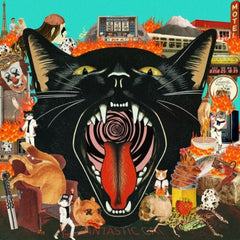Fantastic Cat - Cat Out Of Hell - [Vinyl]