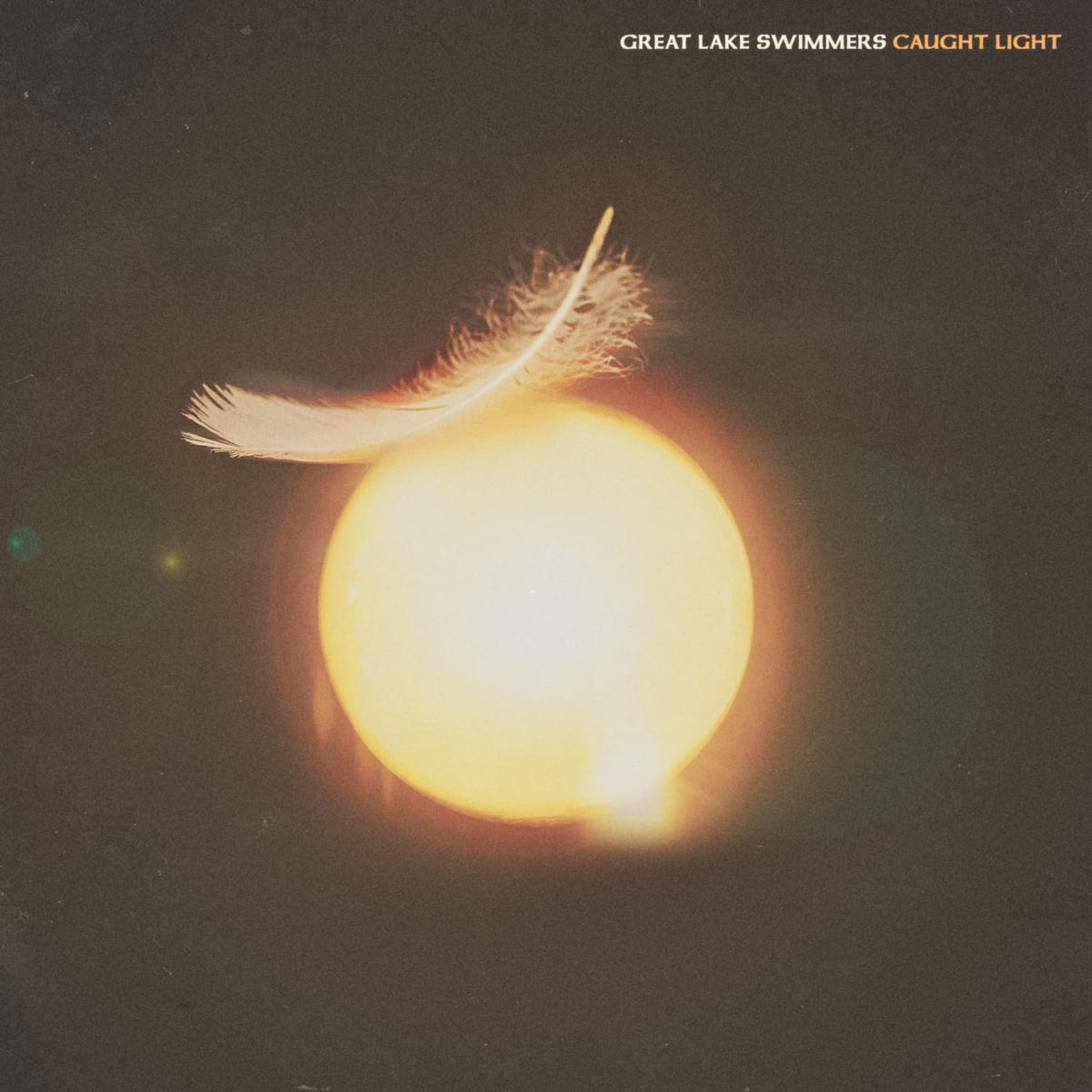 Great Lake Swimmers - Caught Light - [Vinyl]