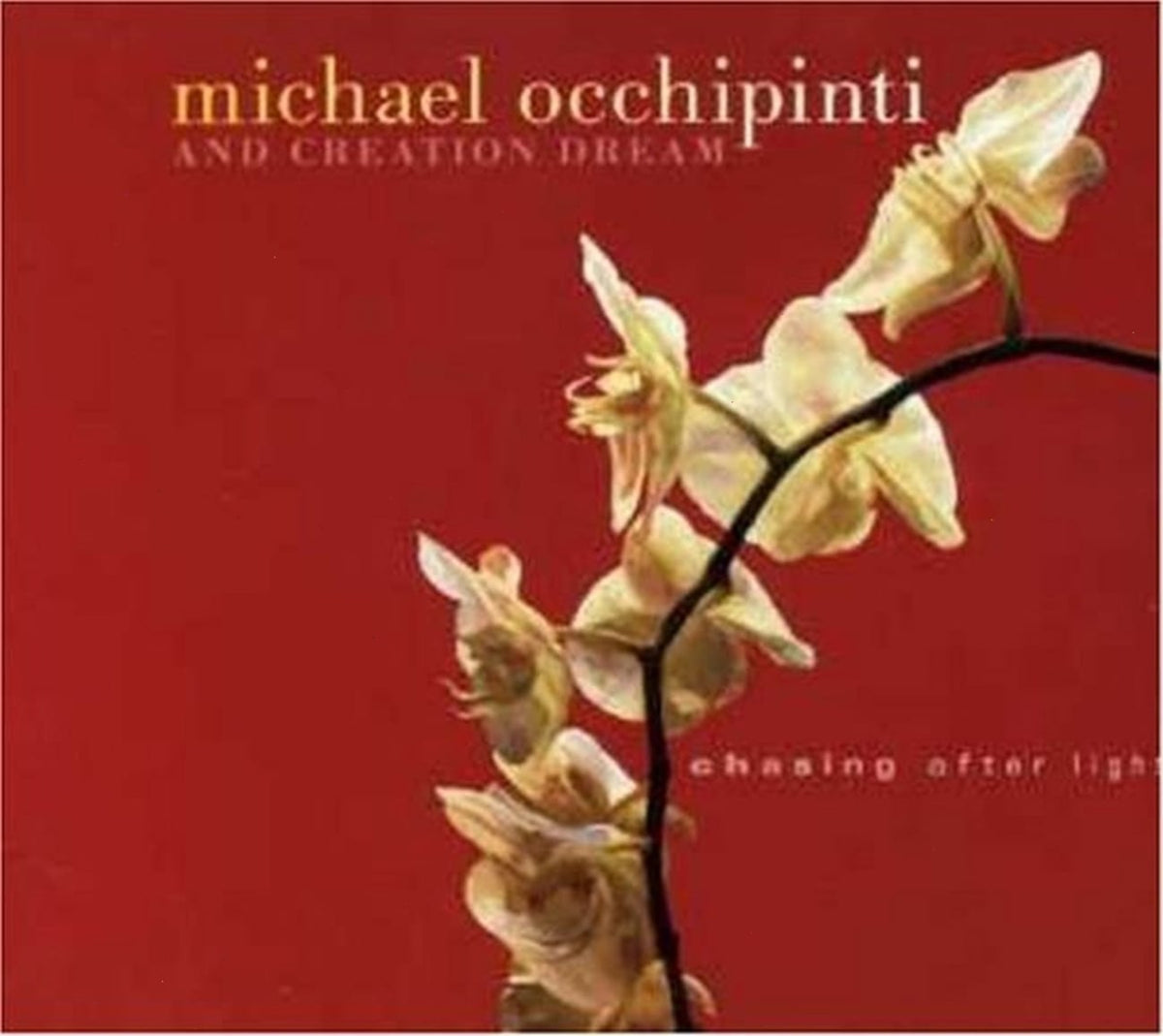 Michael Occhipinti - CHASING AFTER LIGHT - [CD]