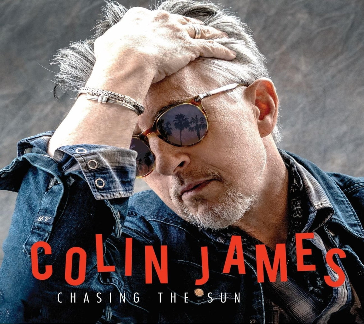 Colin James - Chasing the Sun - [CD]