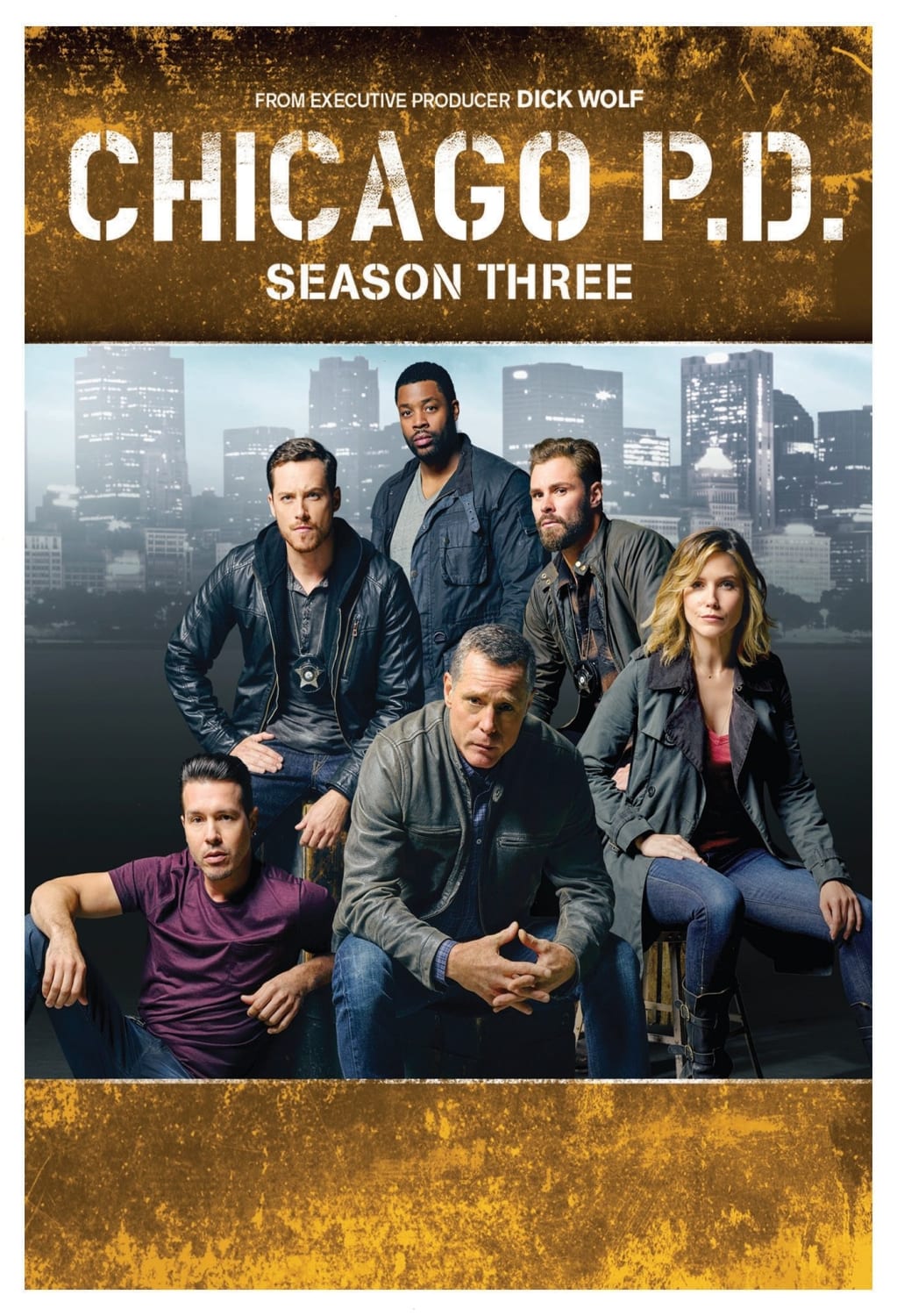 CHICAGO P.D.: SEASON 3 - [DVD]