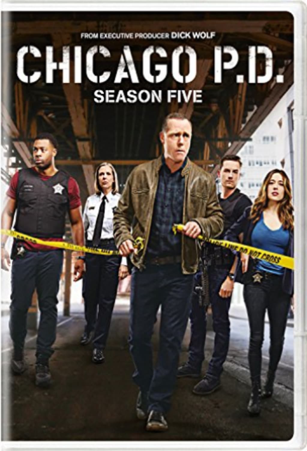 CHICAGO P.D.: SEASON 5 - [DVD]