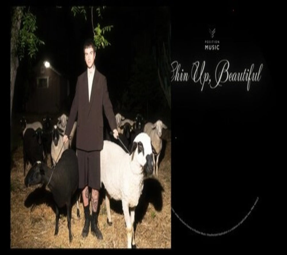 Jutes - Chin Up, Beautiful - [CD]