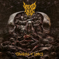 Defeated Sanity - Chronicles Of Lunacy - (Limited Edition, Gatefold LP Jacket) - [Vinyl]