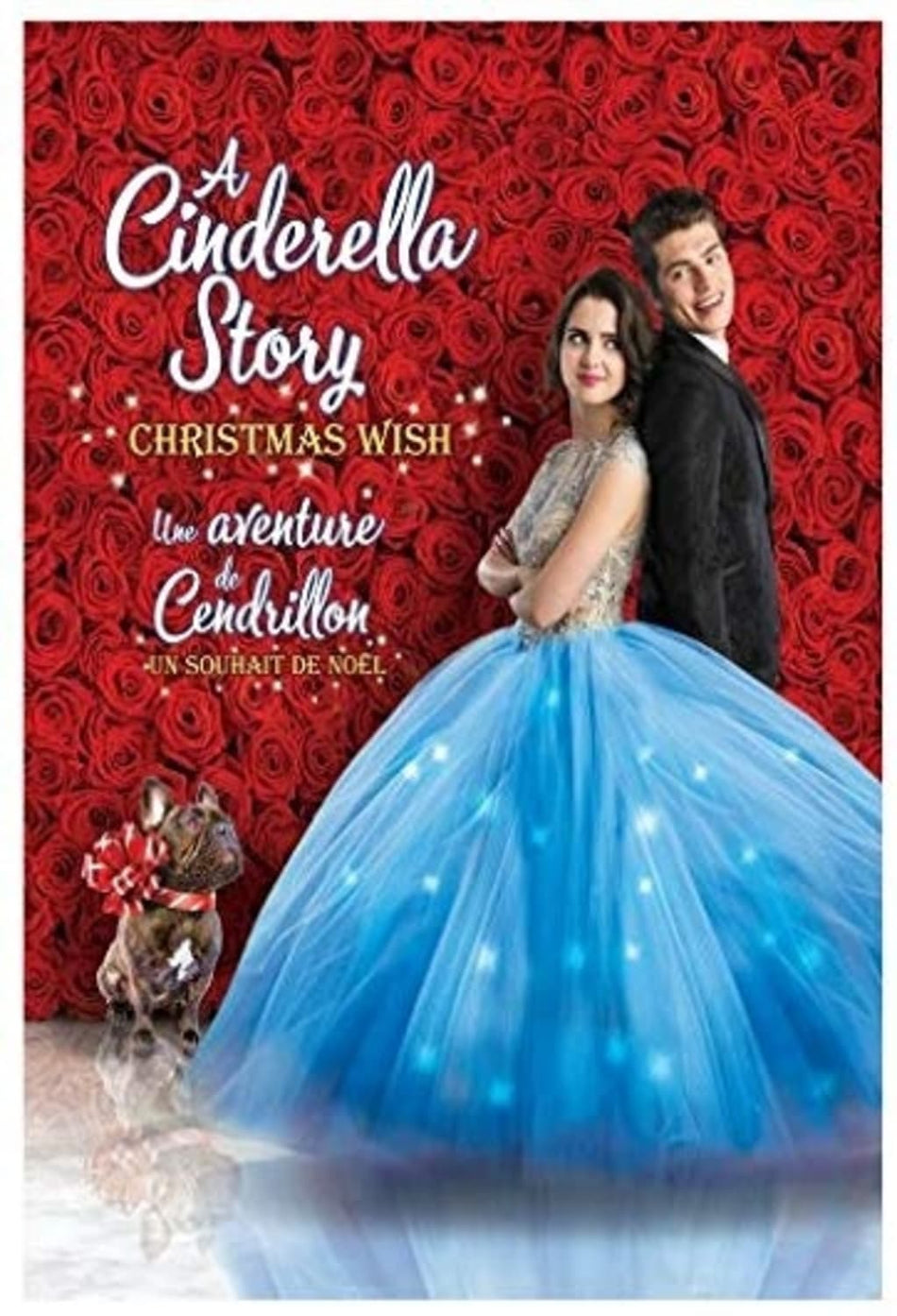 CINDERELLA STORY A: CHRISTMAS WISH - [DVD]