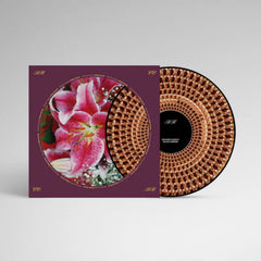 Richard Hawley - Coles Corner: 20th Anniversary - Half-Speed Mastered Zoetrope Picture Diss - [Vinyl]