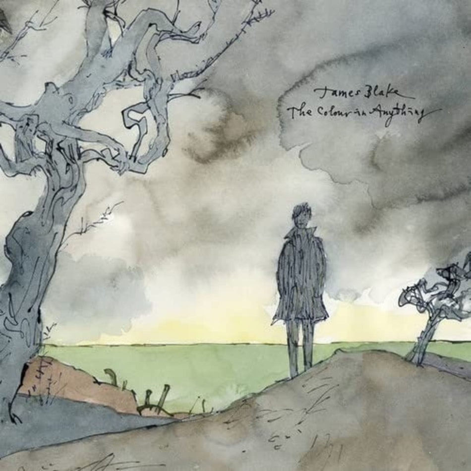 James Blake - The Colour In Anything - (180 Gram Vinyl) - [Vinyl]