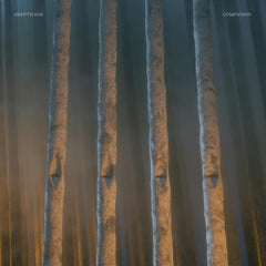 Skepticism - Companion - [Vinyl]