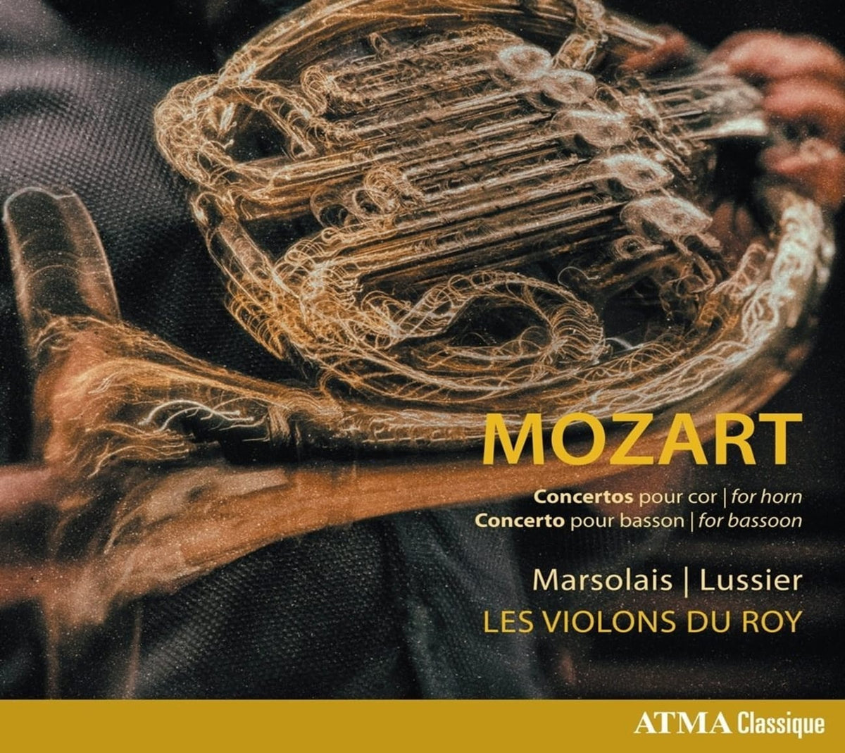 Mozart,W. A. - ,. . - CONCERTOS HORN / BASSOON - [CD]