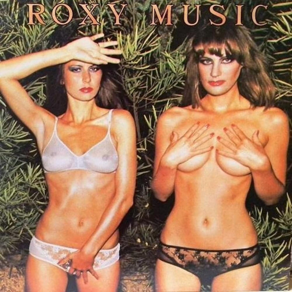 Roxy Music - Country Life - [Vinyl]