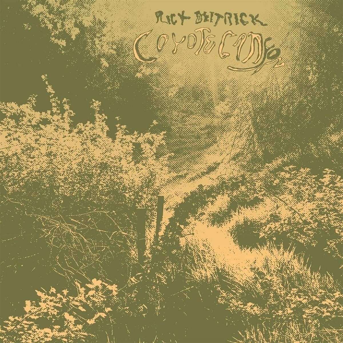 Rick Deitrick - Coyote Canyon - [Vinyl]
