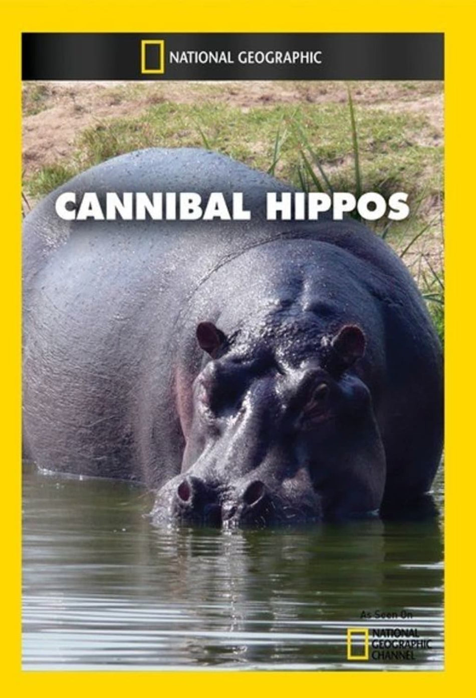 Cannibal Hippos - (NTSC Format) - [DVD]