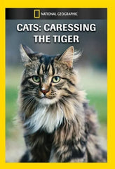 Cats: Caressing the Tiger - (NTSC Format) - [DVD]