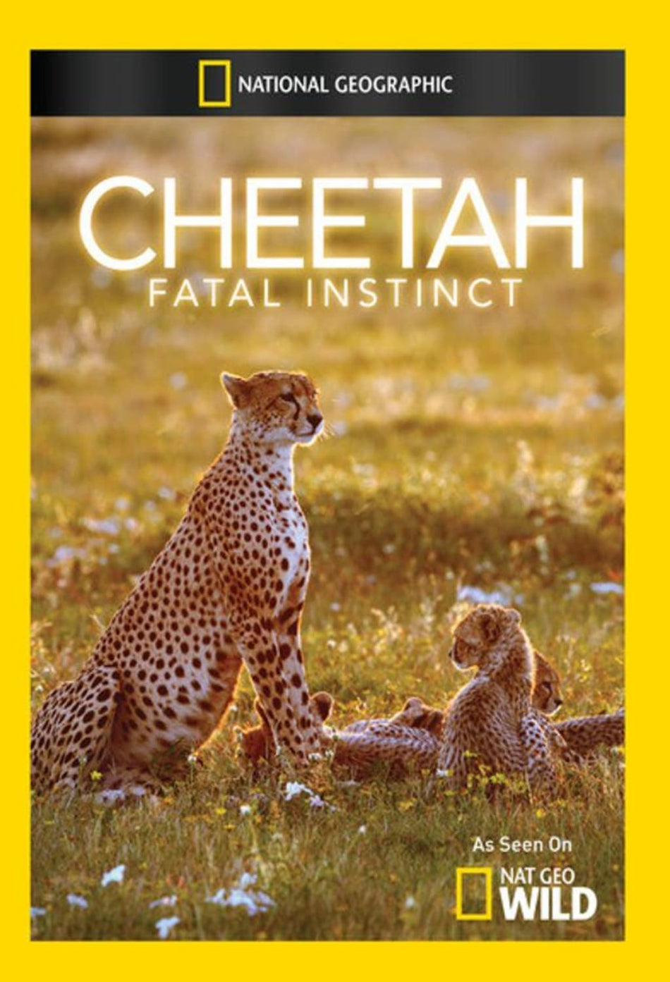 Cheetah Fatal Instinct - [DVD]