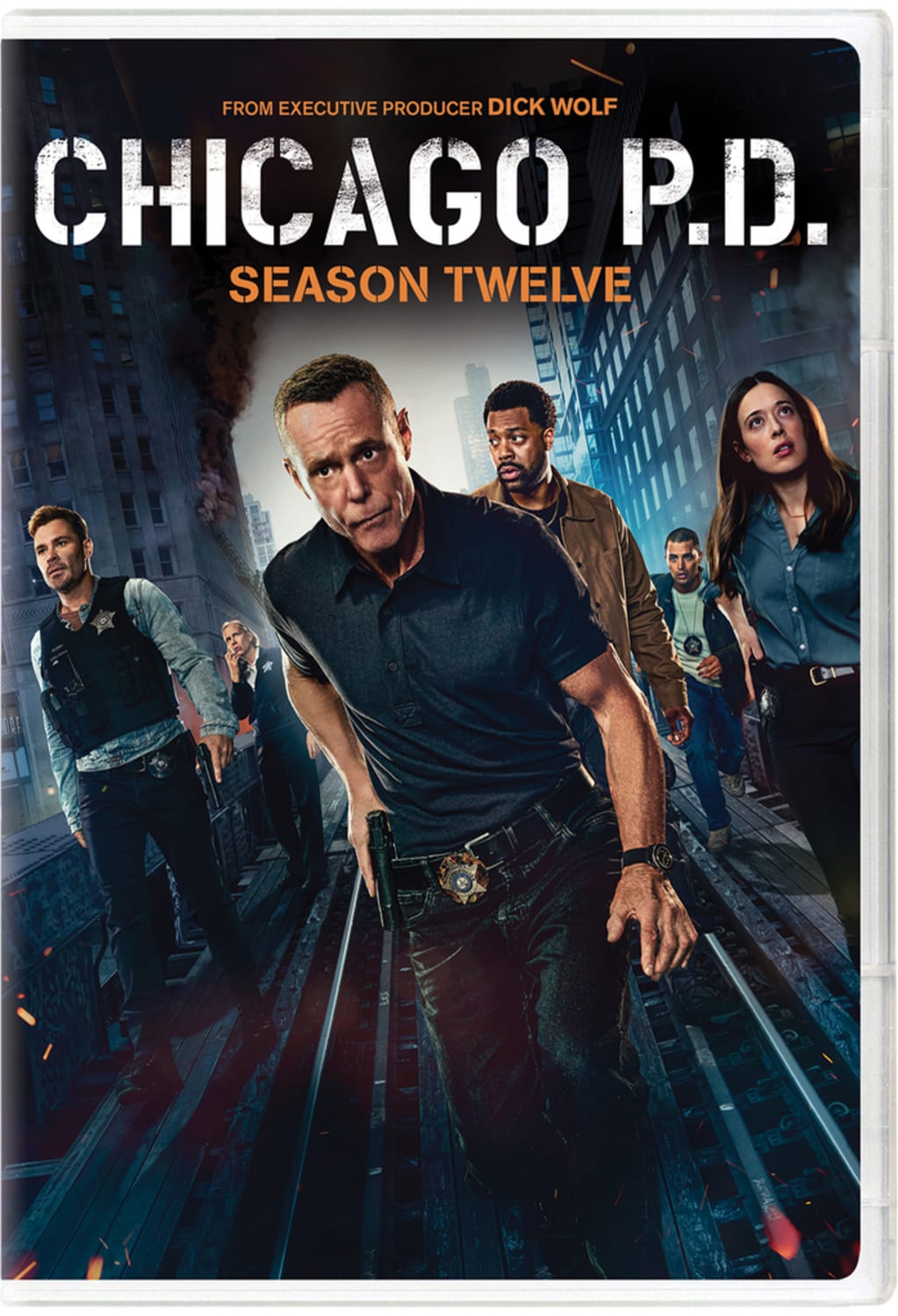 Chicago P.D.: Season Twelve - (Boxed Set, Dolby, AC-3, Subtitled) - [DVD]