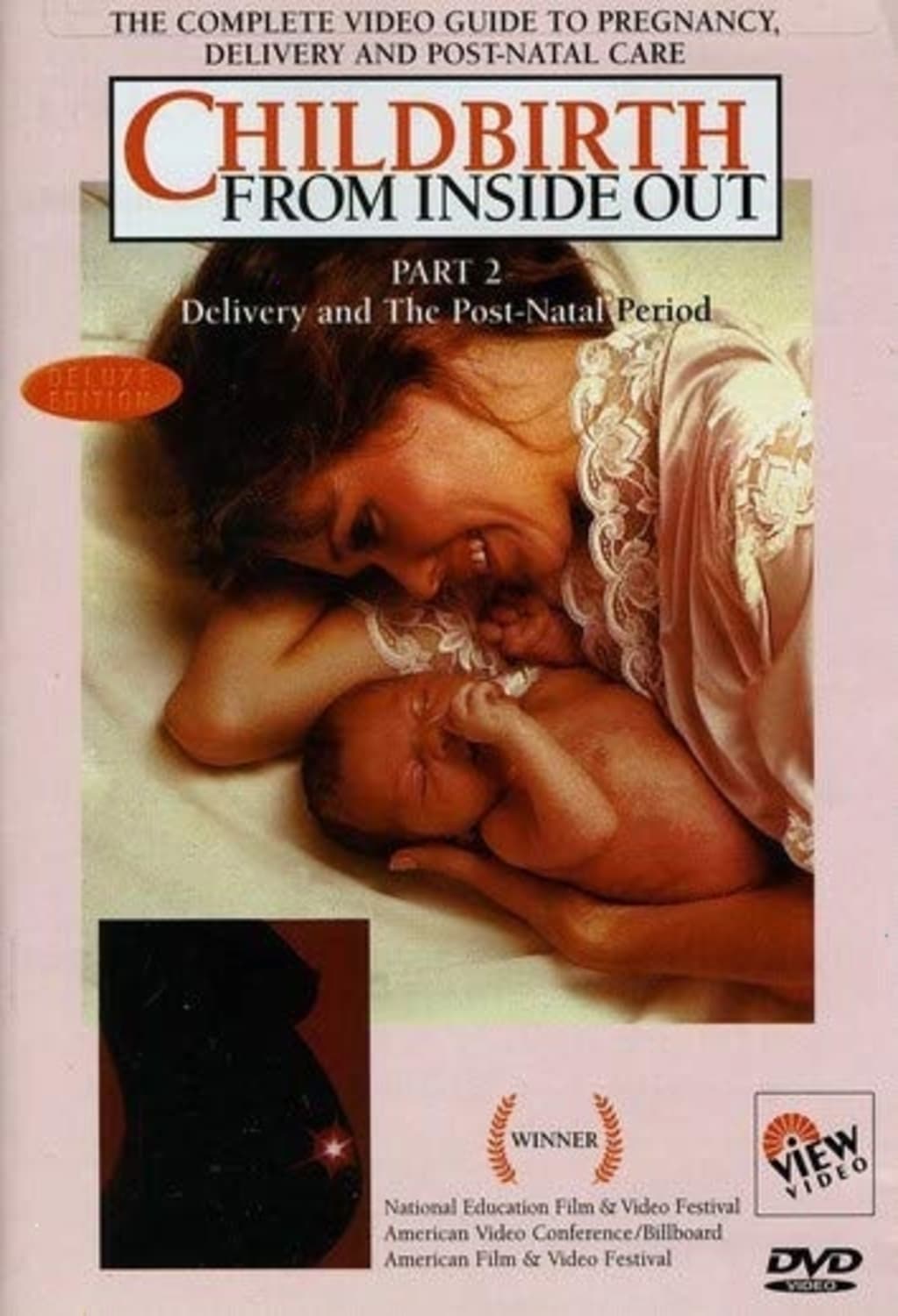 Childbirth from Inside Out: Part 2 - [DVD]