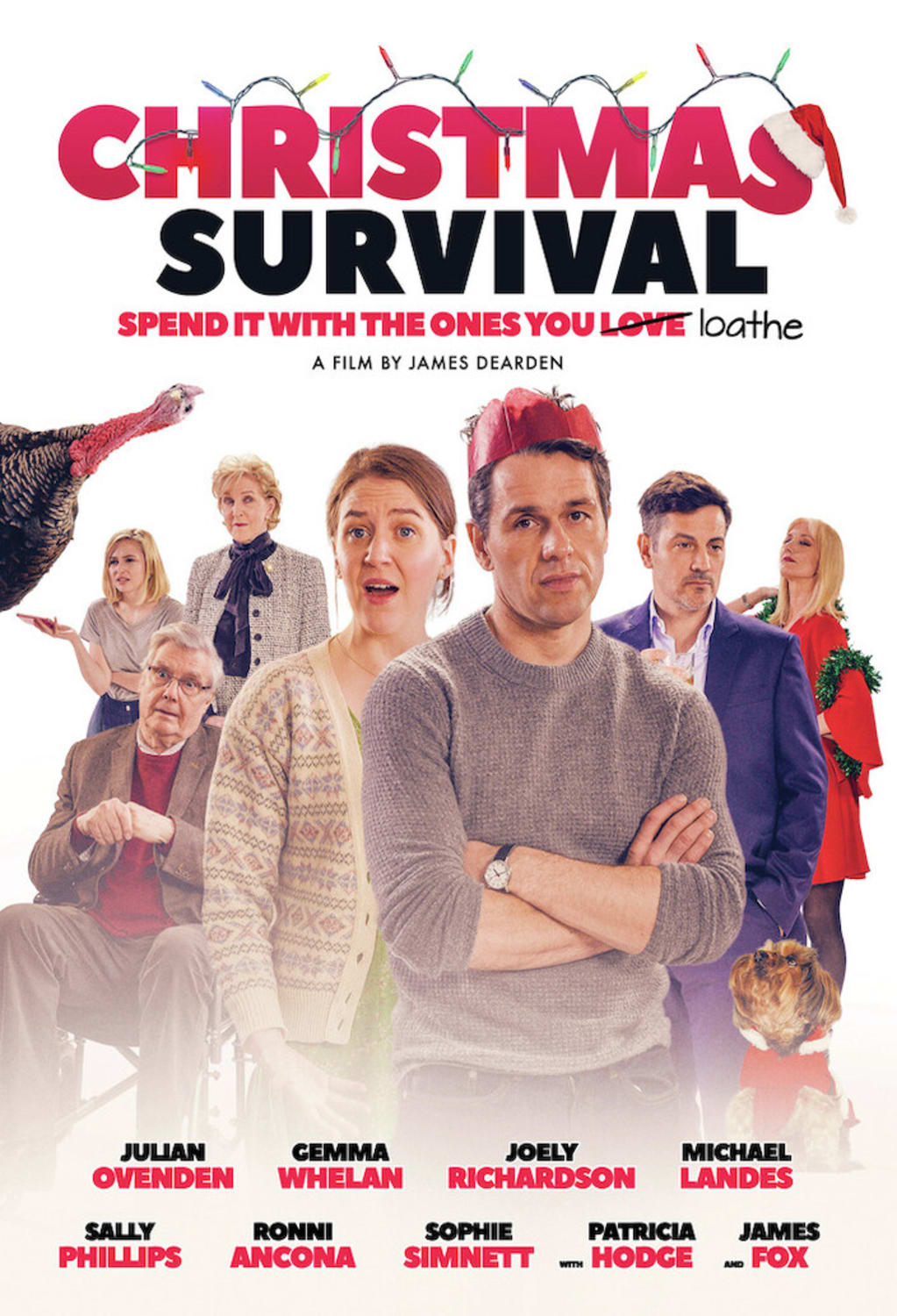 Christmas Survival (Fka Surviving Christmas With The Relatives) - (Subtitled) - [DVD]